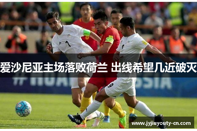 爱沙尼亚主场落败荷兰 出线希望几近破灭
