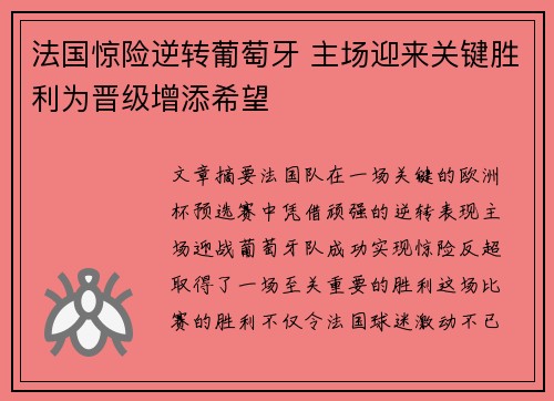 法国惊险逆转葡萄牙 主场迎来关键胜利为晋级增添希望