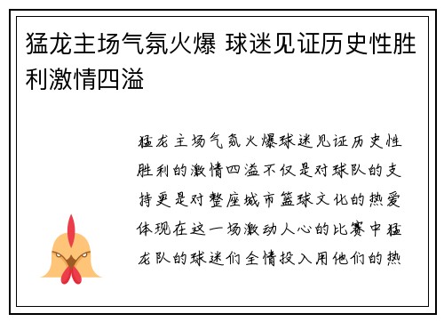 猛龙主场气氛火爆 球迷见证历史性胜利激情四溢