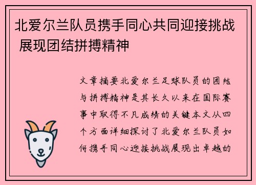 北爱尔兰队员携手同心共同迎接挑战 展现团结拼搏精神