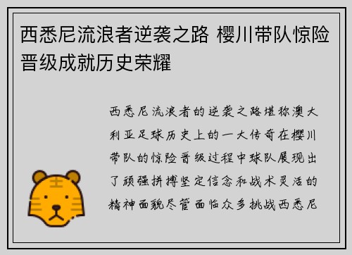 西悉尼流浪者逆袭之路 樱川带队惊险晋级成就历史荣耀